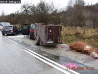 Na ceste zahynula krava Na ceste zahynula krava