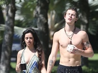 Camila Cabello, Shawn Mendes 