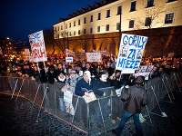 Prvý protest Gorila Prvý protest Gorila