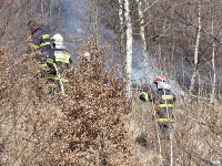 Na snímk hasiči zasahujú pri rozsiahlom požiari rúbaniska v časti lesa v katastri Oščadnice v okrese Čadca