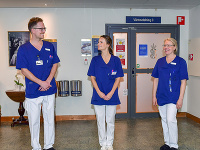 Švédska princezná Sofia