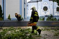 Hasiči odstraňujú spadnutý strom pri Kostole svätej Alžbety