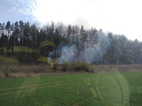 Požiare lesa a trávnatého a krovinatého porastu pozdĺž 31-kilometrového úseku železničnej trate medzi Popradom a Košicami si vyžiadali zásahy niekoľkých desiatok profesionálnych i dobrovoľných hasičov.