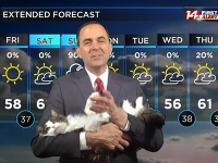 Jeff Lyons a jeho mačka sa stali hitom internetu.