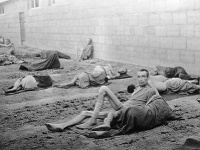Väzni v Mauthausene