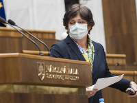 Verejná ochrankyňa práv Mária Patakyová, Verejná ochrankyňa práv Mária Patakyová,