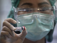 V Thajsku začali testovať vakcínu proti novému druhu koronavírusu na opiciach po tom, čo ju úspešne otestovali na myšiach. V Thajsku začali testovať vakcínu proti novému druhu koronavírusu na opiciach po tom, čo ju úspešne otestovali na myšiach.