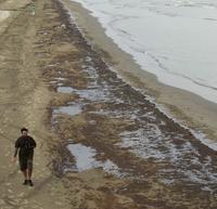 Ropou znečistené pobrežie Mexického zálivu
