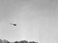 Na archívnej snímke z 3. júla 1965 pri Číčove práce na pretrhnutej hrádzi