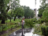 Popadané stromy po búrke a silnom vetre v Trebišove