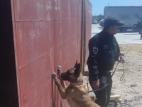 Skrýšu drog dovážaných z Mexika objavili príslušníci finančnej správy aj za pomoci služobného psa finančnej správy vycvičeného na vyhľadávanie drog.