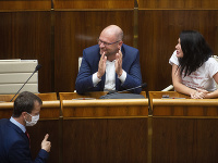 Richard Sulík a Jana Cigániková Richard Sulík a Jana Cigániková