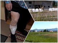 Na Liptove zaútočil medveď na človeka Na Liptove zaútočil medveď na človeka