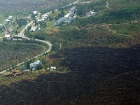 Zhorenisko po požiari, ktorý zdevastoval  Vysoké Tatry