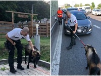 Cap na diaľnici D1 Cap na diaľnici D1