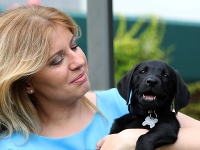 Zuzana Čaputová Zuzana Čaputová