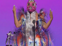 Lady Gaga Lady Gaga
