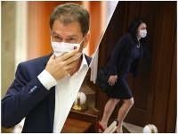 Cigániková a Matovič si odkazujú štipľavé komentáre cez médiá Cigániková a Matovič si odkazujú štipľavé komentáre cez médiá