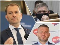 Hlasisti zrejme podporia návrh Smeru v podaní na ÚS kvôli núdzovému stavu. Hlasisti zrejme podporia návrh Smeru v podaní na ÚS kvôli núdzovému stavu.
