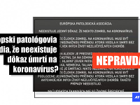 V príspevkoch na Facebooku a článkoch na dezinformačných weboch sa tvrdilo, že patológovia počas online seminára organizovaného Európskou patologickou asociáciou dospeli k záveru, že V príspevkoch na Facebooku a článkoch na dezinformačných weboch sa tvrdilo, že patológovia počas online seminára organizovaného Európskou patologickou asociáciou dospeli k záveru, že