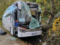 Vodič autobusu náraz neprežil Vodič autobusu náraz neprežil