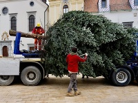 Hlavné mesto má už tiež svoj tohtoročný vianočný stromček
