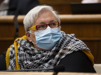 Poslankyňa OĽaNO Monika Kozelová bola odfotená v netradičnom outfite. Poslankyňa OĽaNO Monika Kozelová bola odfotená v netradičnom outfite.