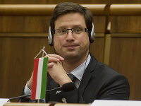 Gergely Gulyás Gergely Gulyás