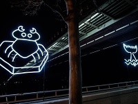 Biela noc v Bratislave