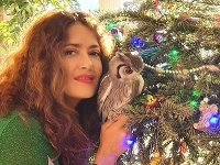 Salma Hayek Salma Hayek