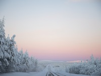Na snímke zasnežené stromy v Kittile vo fínskom Laponsku