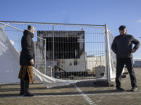 Výtržníci v Holandsku podpálili testovacie miesto