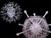 Britský umelec vytvoril sklenenú sochu zobrazujúcu vakcínu od firmy AstraZeneca