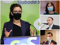 Politici a politológovia komentujú odchod Nicholsonovej z SaS. Politici a politológovia komentujú odchod Nicholsonovej z SaS.