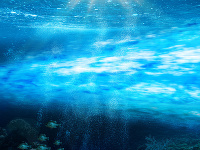 Ilustračné foto Ilustračné foto