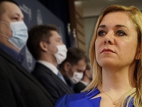 Saková si rok od prvého prípadu vírusu podala vládu. Saková si rok od prvého prípadu vírusu podala vládu.