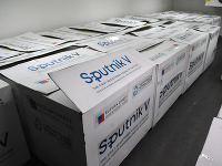 Vakcínu Sputnik V testovali na morčatách a myšiach v Šarišských Michaľanoch Vakcínu Sputnik V testovali na morčatách a myšiach v Šarišských Michaľanoch