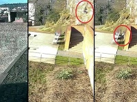 Dievča sa zrútilo z hradieb Dievča sa zrútilo z hradieb