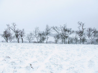 Sneženie v obci Chvojnica v okrese Myjava