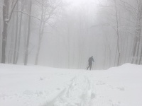 Aprílová snehová perina na bratislavskej Pezinskej Babe
