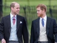 Princ William a princ Harry Princ William a princ Harry