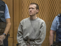 Brenton Harrison Tarrant Brenton Harrison Tarrant