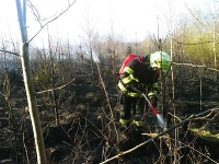 Viac ako 40 hasičov zasahuje pri požiari pri Žiline.