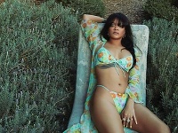 Rihanna má pred sebou slušnú podnikateľskú kariéru Rihanna má pred sebou slušnú podnikateľskú kariéru