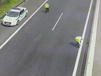 Polícia zachraňovala kačaciu rodinu Polícia zachraňovala kačaciu rodinu
