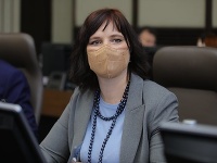 Remišová varovala pred odchodom z vlády. Remišová varovala pred odchodom z vlády.