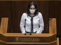 Europslankyňa Miriam Lexmann Europslankyňa Miriam Lexmann
