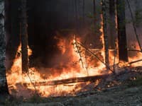 Lesné požiare na ruskom Ďalekom východe