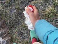 Lenku Vacvalovú sprevádzajú na behu zdravotné problémy. Lenku Vacvalovú sprevádzajú na behu zdravotné problémy.