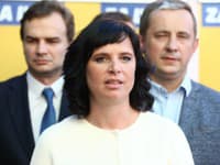 Veronika Remišová Veronika Remišová